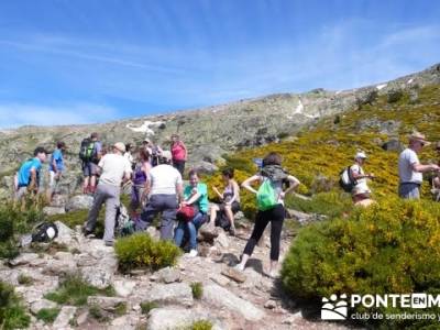 Ruta senderismo Peñalara - Parque Natural de Peñalara - Laguna Grande de Peñalara; senderismo fá